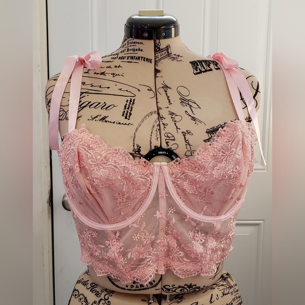 NWOT Adorable Kawaii Cute Pink Lace Lingerie Top With Ribbons 2XL
